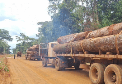 Polícia Militar apreende mais de 100m³ de madeira ilegal em Feliz Natal