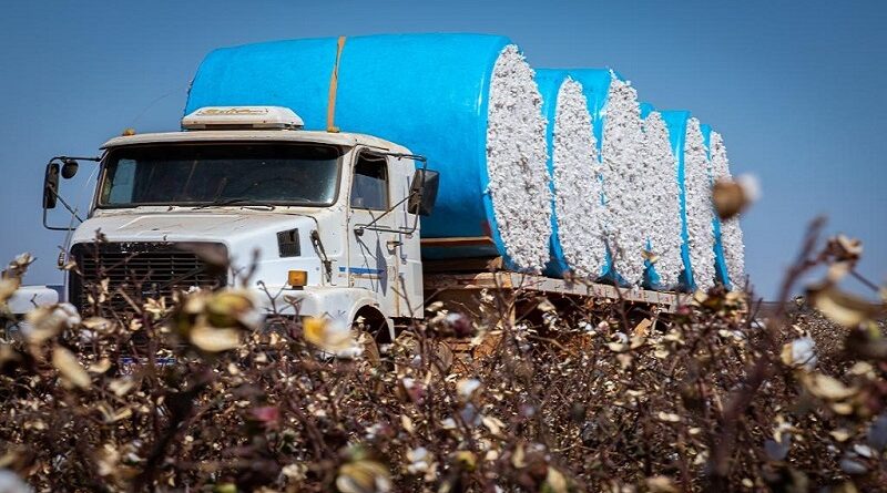 Mato Grosso lidera a balança comercial brasileira em 2025