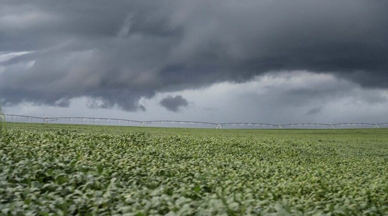 Instabilidade atmosférica no Vale do Araguaia impõe janela curta de colheita antes de temporais severos no fim de semana Instabilidade atmosférica no Vale do Araguaia impõe janela curta de colheita antes de temporais severos no fim de semana