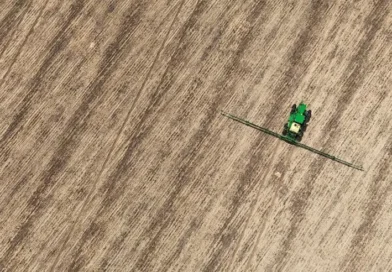 Preço das terras rurais varia de R$ 50 mil a R$ 250 mil por hectare