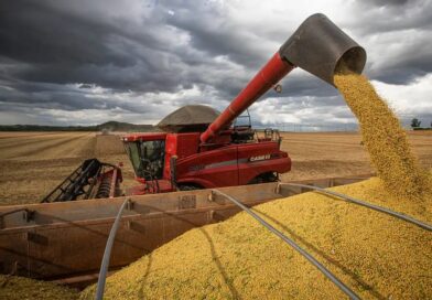 PIB cresce 2,3% em 2025 e alcança os R$ 12,7 trilhões, impulsionado por safras recordes de milho e soja