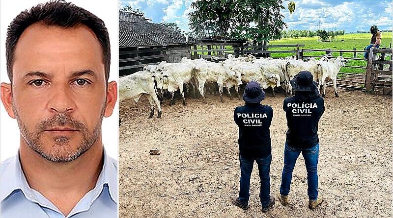 Vereador de Nova Xavantina é preso em flagrante com gado furtado