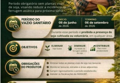 Vazio sanitário da soja começa no Mato Grosso e vai até 6 de setembro