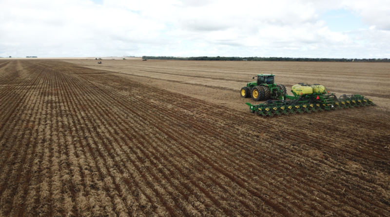 Seca aumenta risco de pragas e produtor de soja precisa ficar atento em MT